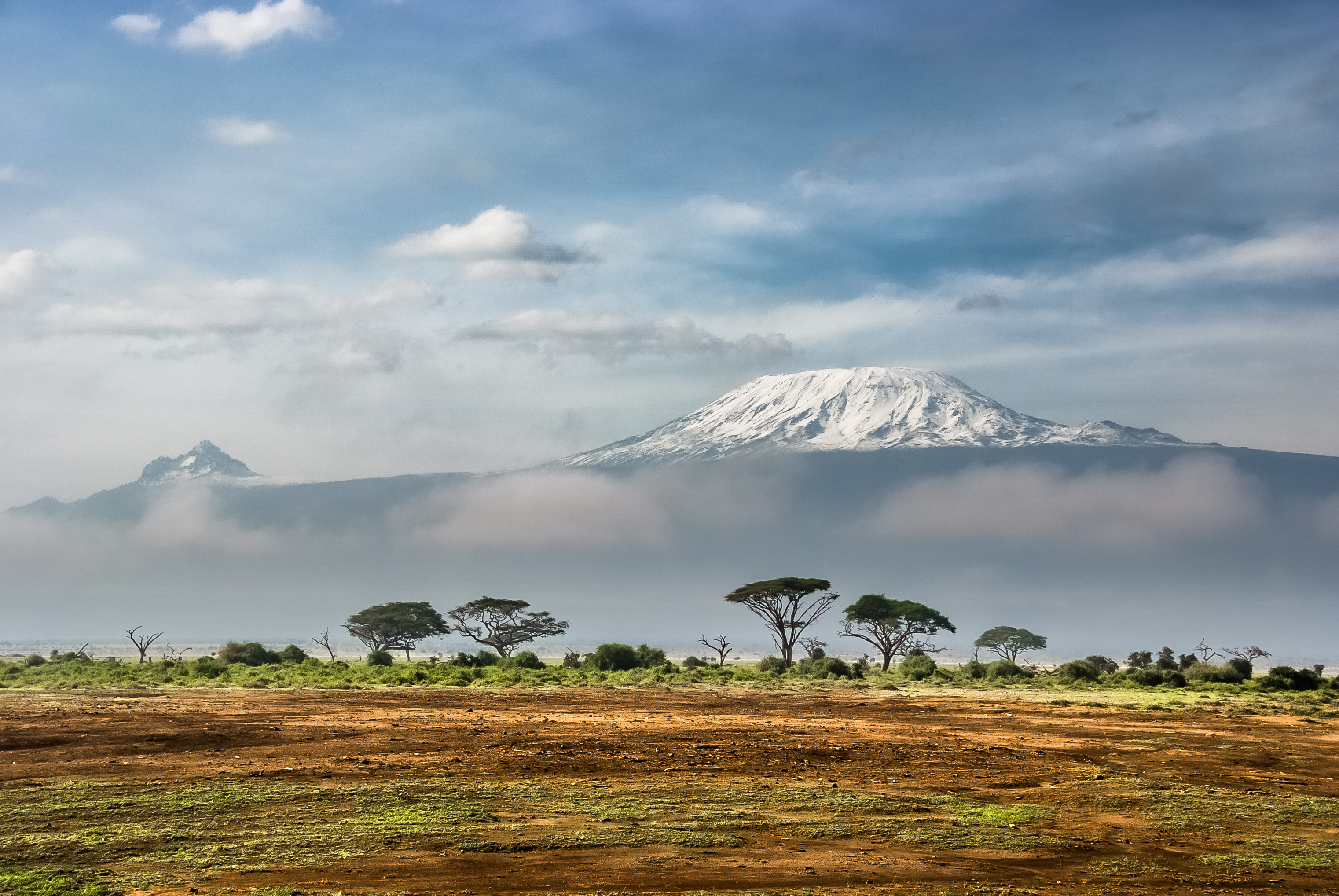 Kilimanjaro Season